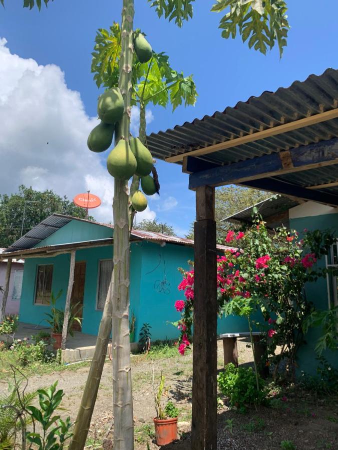 Alba House Holiday home