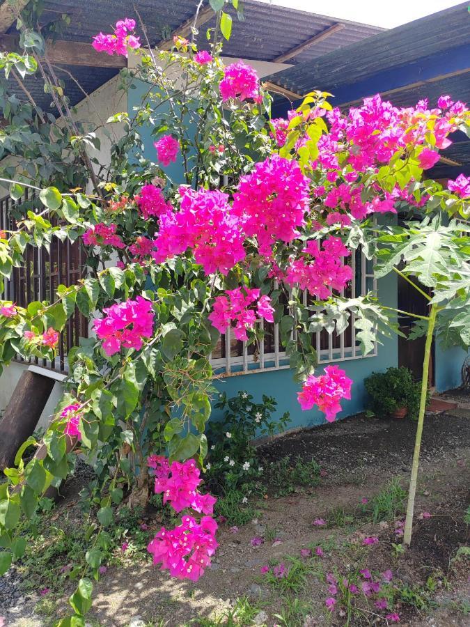 Holiday home Alba House Puerto Jimenez