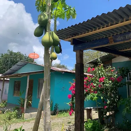 Alba House Villa Puerto Jimenez Exterior photo